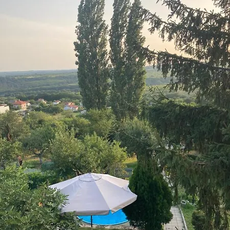 Sofia
